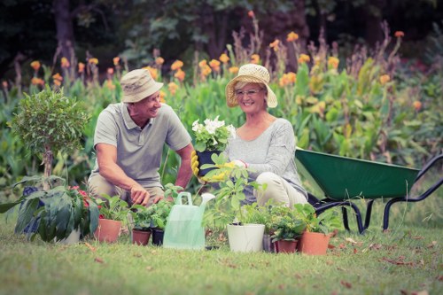 Regular lawn maintenance for a tidy residential garden in St Pancras