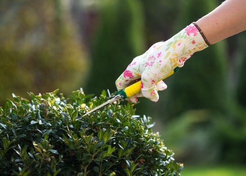 Garden maintenance service in a St Pancras urban garden