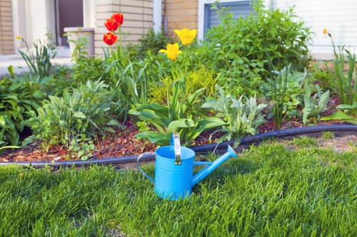 Gardener reviewing a service concern during a professional complaints process