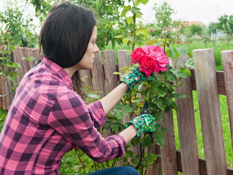 Gardeners in St Pancras caring for a welcoming urban garden