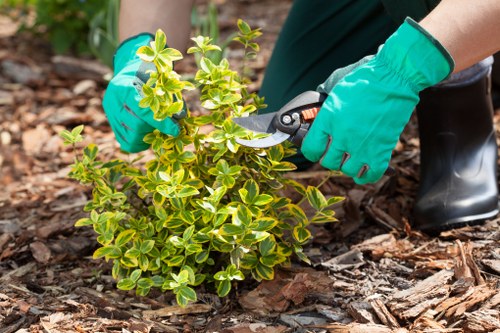 Transparent pricing model for Gardeners St Pancras