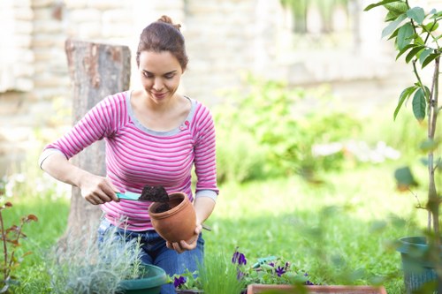 Attractive urban garden maintained by St Pancras gardening services