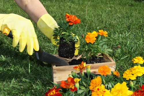 Recycling and sustainability practices for urban garden maintenance