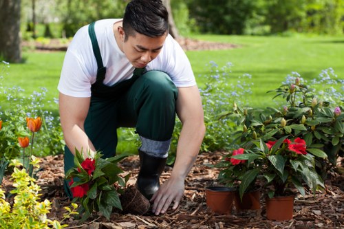 Professional St Pancras gardeners following a structured safety process