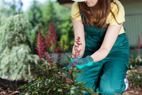 Professional gardeners in St Pancras restoring an urban outdoor space