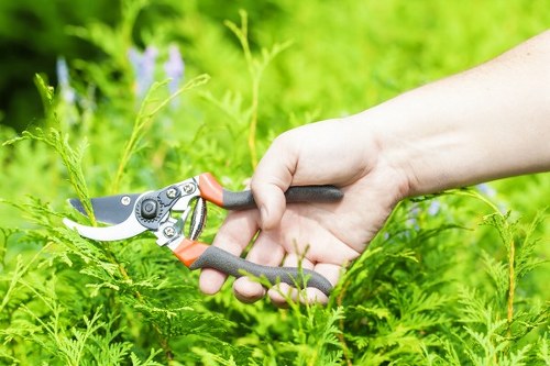 Illustration of a garden service issue being documented for review