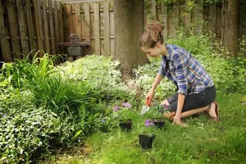 Green waste and garden debris collected during routine maintenance work