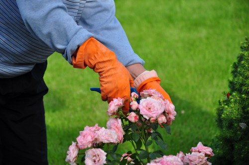 Garden maintenance work in a St Pancras courtyard garden