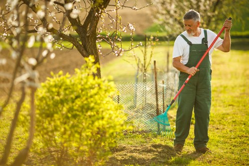 Garden clearance and waste collection for a St Pancras home